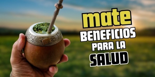 Yerba mate - Beneficios para la salud